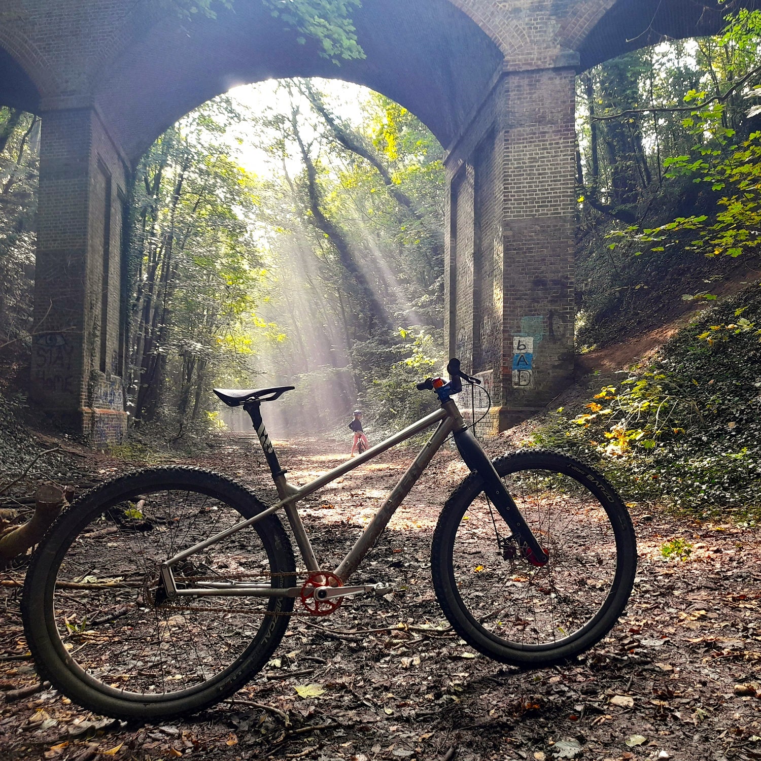 Convert a friend to Single-Speed